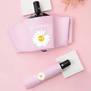 防風黑膠晴雨三折傘【蝦皮團購】 歷史價格詳細信息