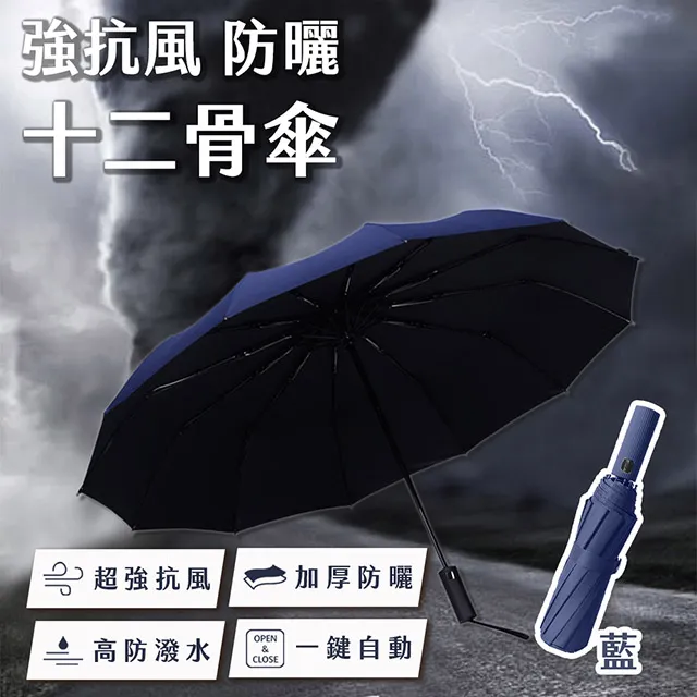 強抗風防曬十骨傘(糖果粉) 歷史價格詳細信息