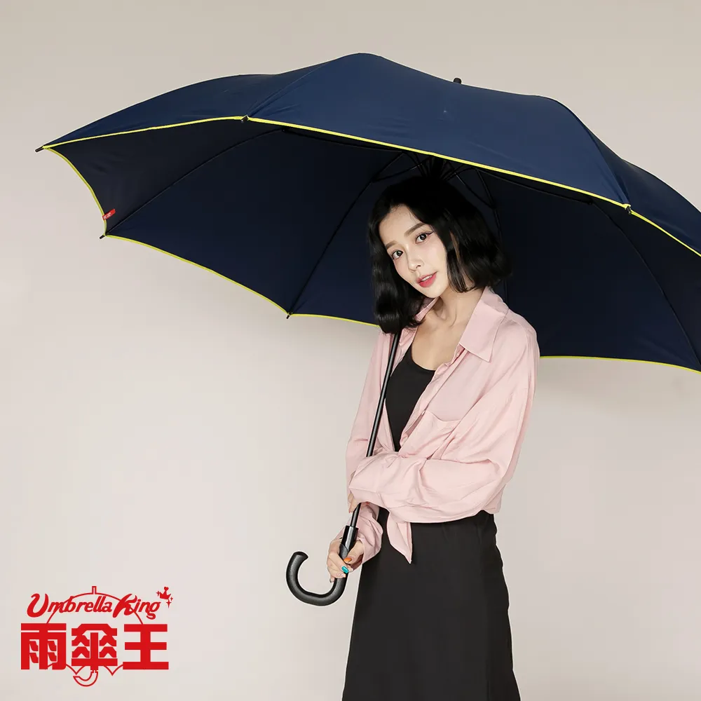 雨傘王《BigRed 超人傘》33吋自動直傘-藍色 歷史價格詳細信息