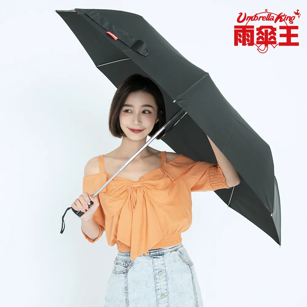 雨傘王 BigRed 將將好-灰藍 自動折疊傘 抗風 超潑水 摺疊 雨傘 終身免費維修 歷史價格詳細信息