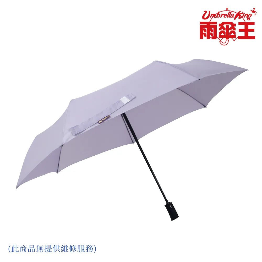 雨傘王 BigPurple 大紫 23吋-霧藍 自動折傘 摺疊傘 遮陽 防曬 擋雨 晴雨兩用 超值傘款 歷史價格詳細信息