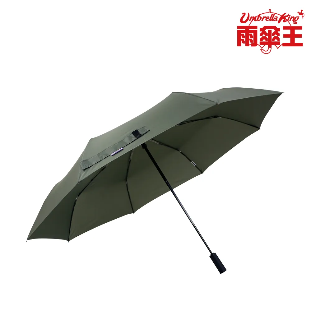 【雨傘王】BigPurple 大紫27吋自動折傘-蒼藍(超值款無維修) 歷史價格詳細信息