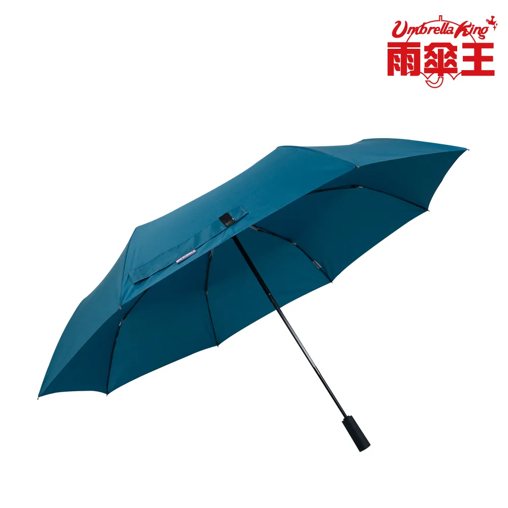 雨傘王《藍鯨之歌》官方旗艦店 21吋自動折傘 省力自動開收傘 防曬 降溫 抗風 超潑水 摺疊傘 歷史價格詳細信息