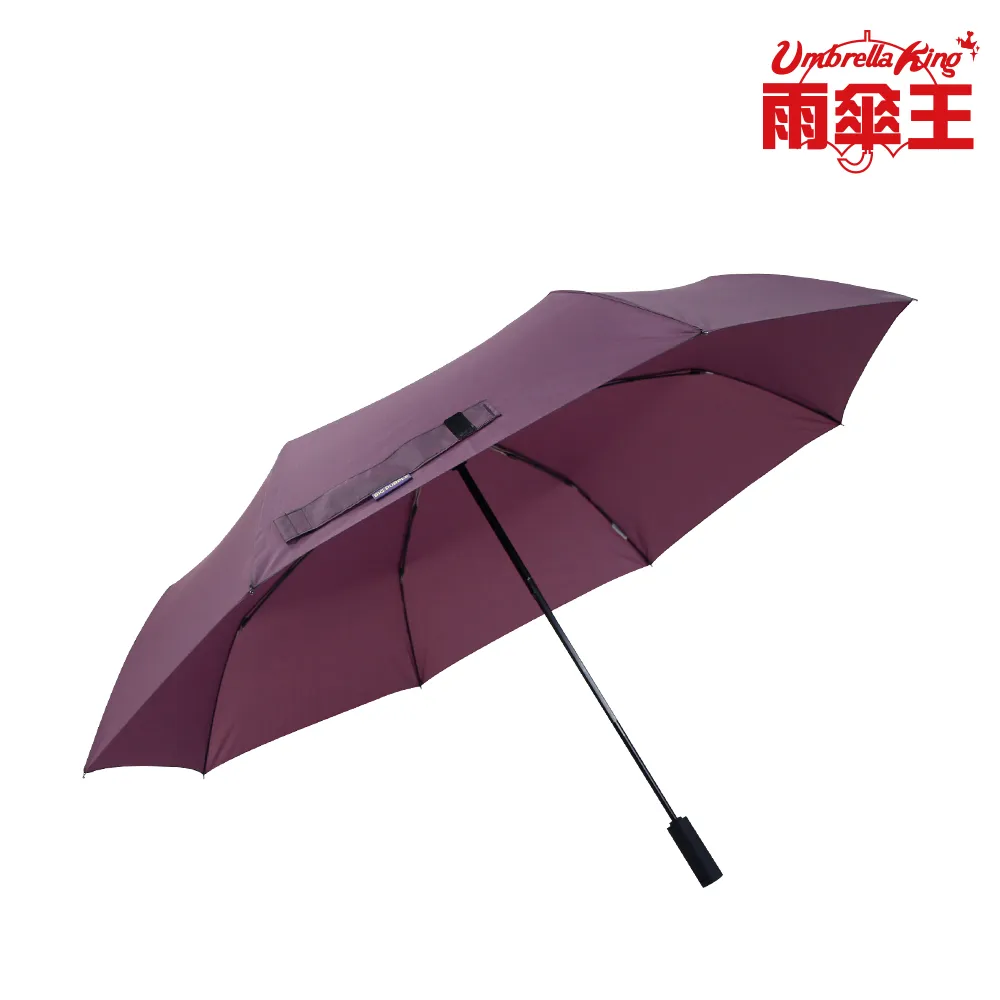 【雨傘王】BigPurple 大紫27吋自動折傘-蒼藍(超值款無維修) 歷史價格詳細信息