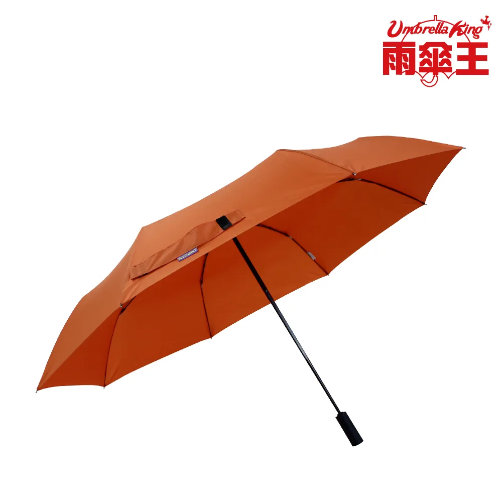 【雨傘王】BigPurple 大紫27吋自動折傘-蒼藍(超值款無維修) 歷史價格詳細信息