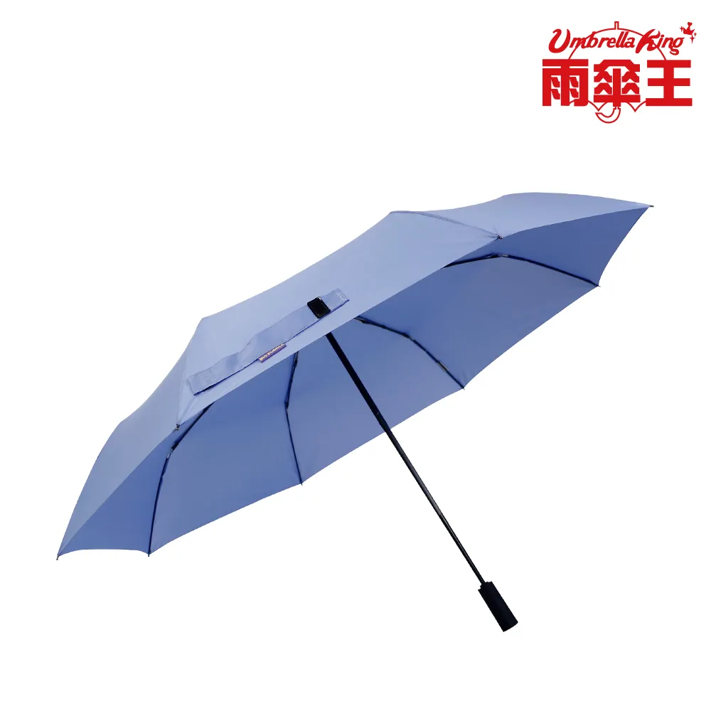 【雨傘王】BigPurple 大紫27吋自動折傘-蒼藍(超值款無維修) 歷史價格詳細信息