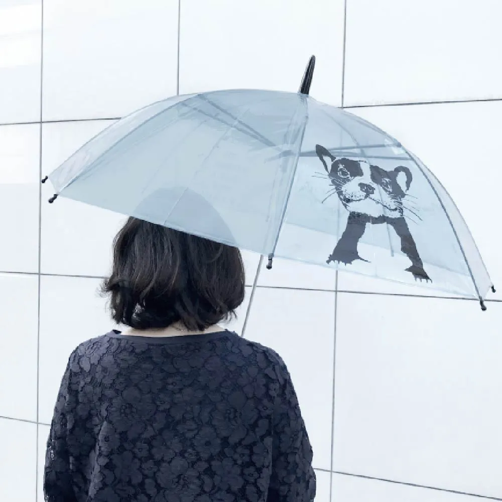 日本 Caetla Evereon 可替換式環保輕量傘-EV220 (Osaka MAP) 歷史價格詳細信息