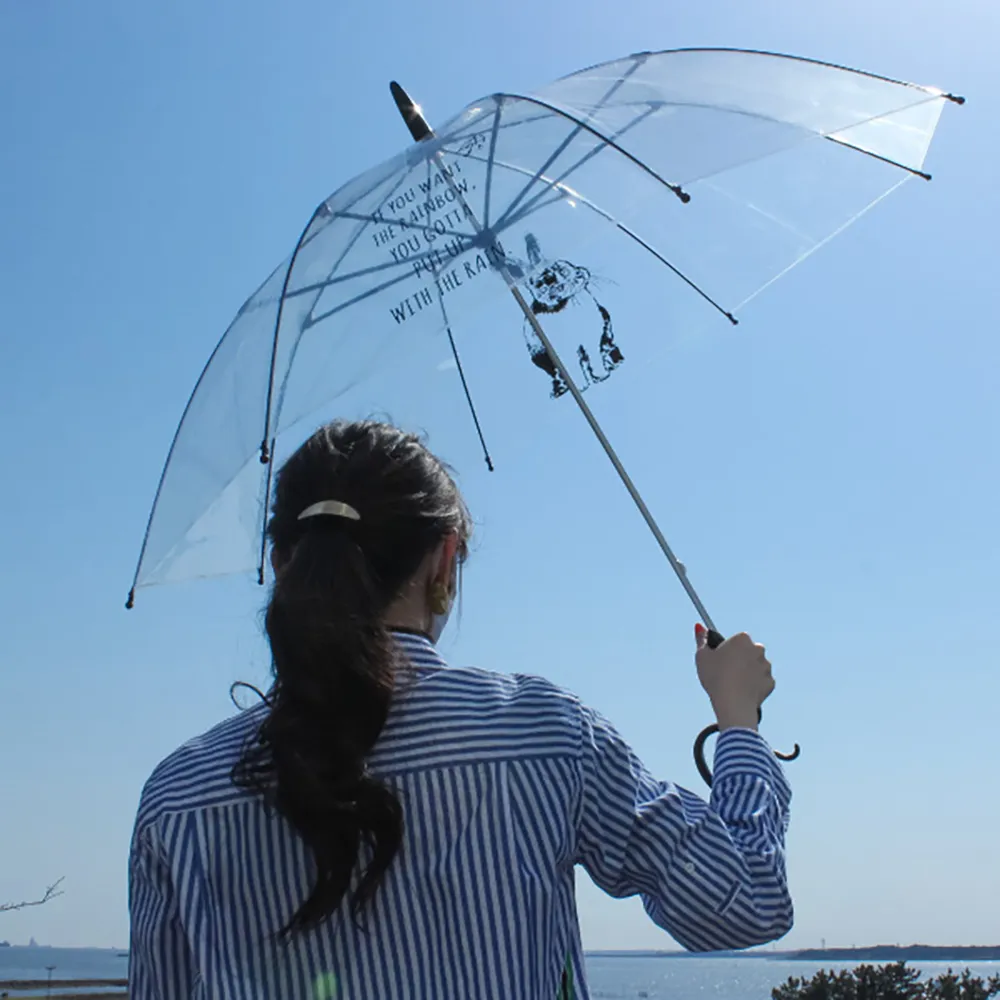 日本 Caetla Evereon 可替換式環保輕量傘-EV220 (Osaka MAP) 歷史價格詳細信息