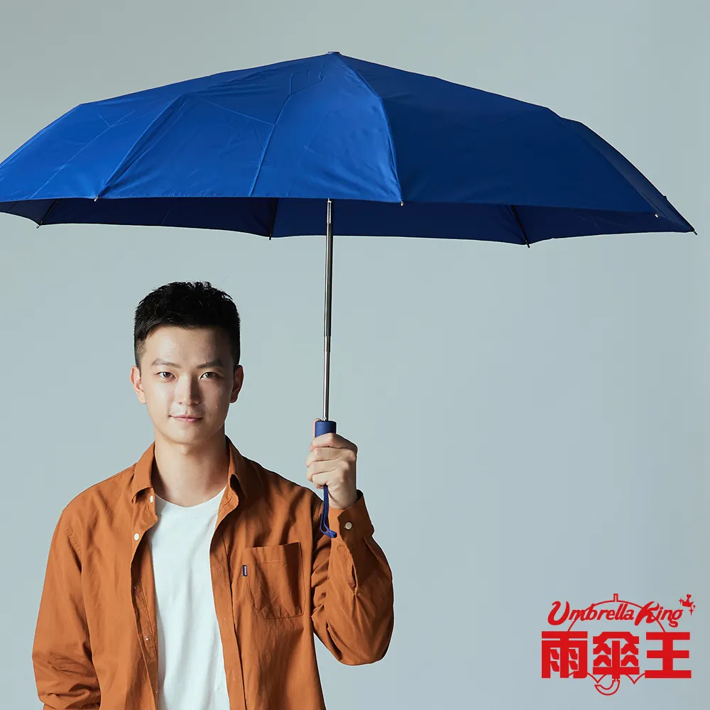 雨傘王《BigRed 安全感2.0》27吋自動傘-黃色 歷史價格詳細信息