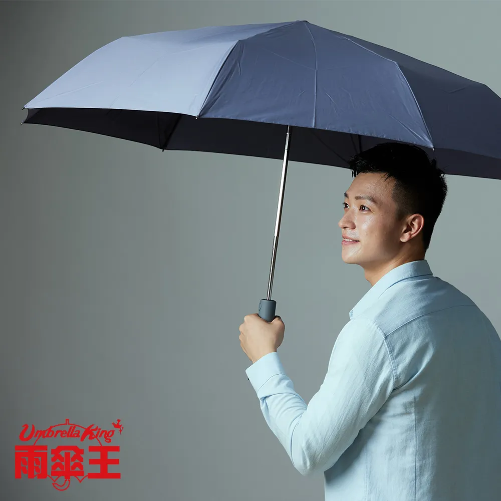 雨傘王《BigRed 安全感2.0》27吋自動傘-黃色 歷史價格詳細信息