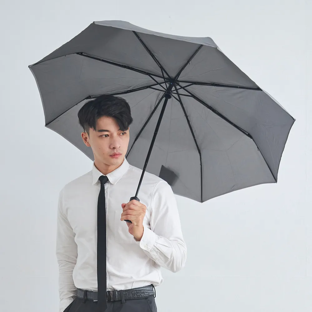 RAINSTORY雨傘-極致抗風傘 Ultra Strong(玄鐵灰) 歷史價格詳細信息