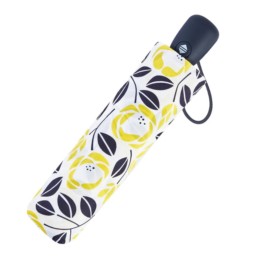 RAINSTORY雨傘-時光花漾抗UV個人自動傘 歷史價格詳細信息