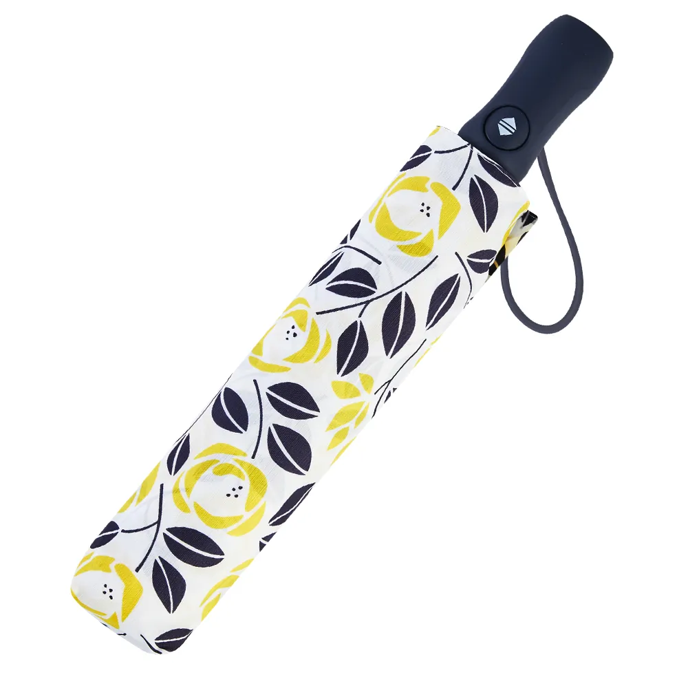 RAINSTORY雨傘-時光花漾抗UV個人自動傘 歷史價格詳細信息