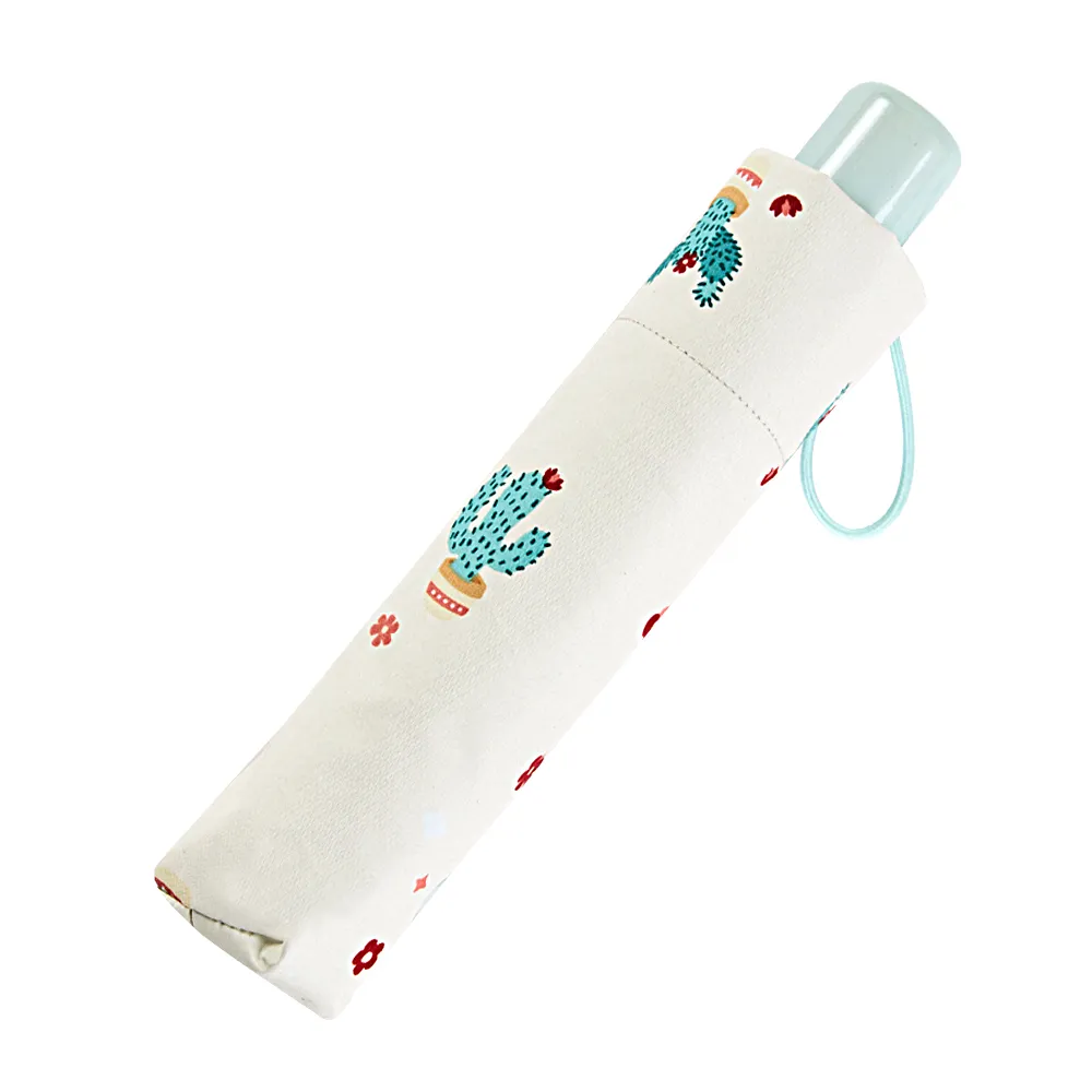 仙人掌雨棍雨聲棒德瑞terre南美智利海浪擬聲音療冥想小眾樂器 歷史價格詳細信息