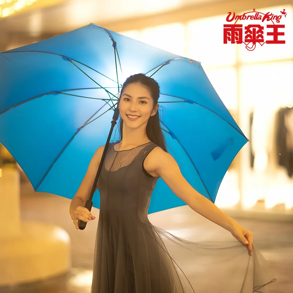 雨傘王《BigRed SPOTLIGHT發光傘》官方旗艦店 27吋大傘面直傘長傘 一開即亮 LED發光 終身免費維修 歷史價格詳細信息
