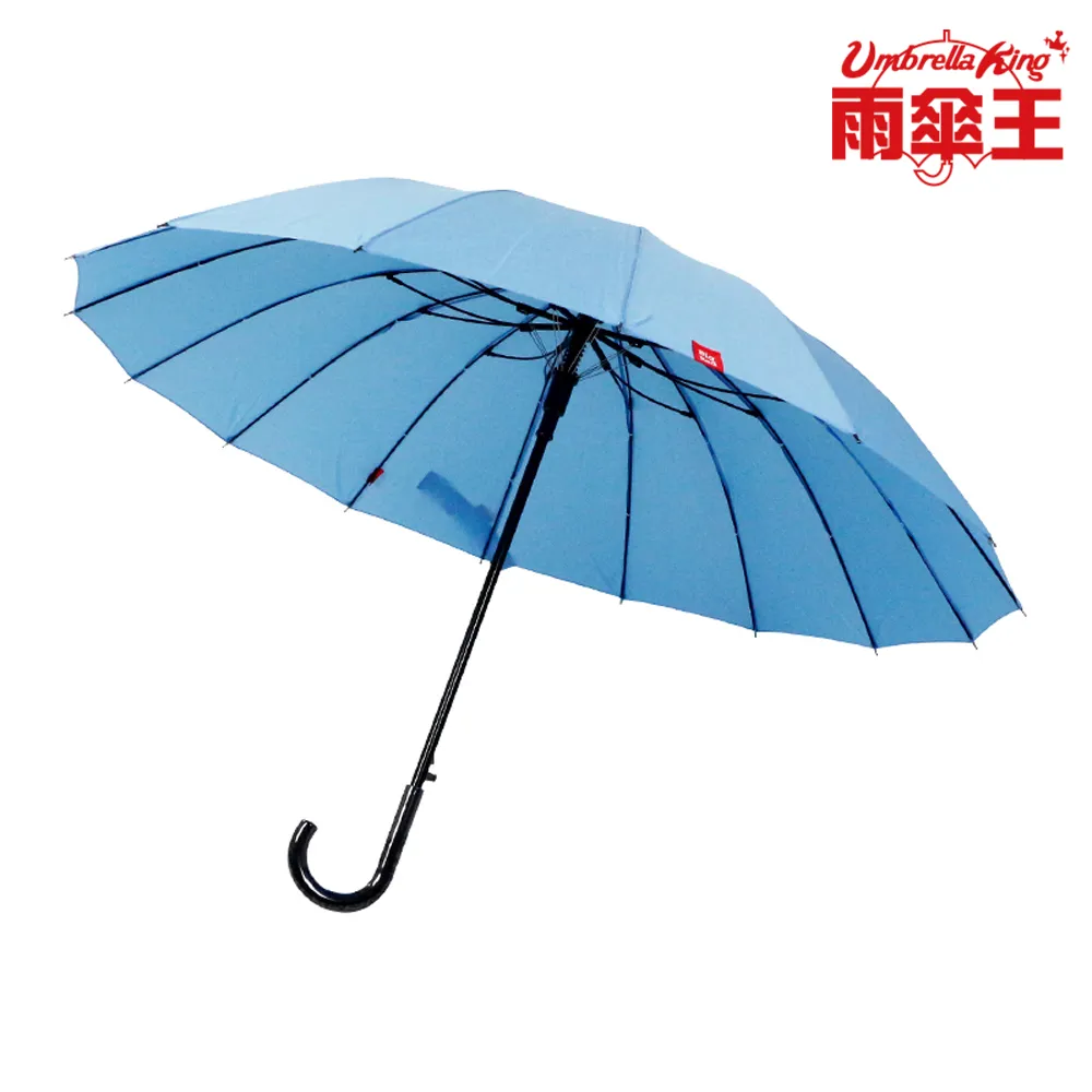 雨傘王《BigRed 自動無敵》官方旗艦店 25吋自動長傘 終身免費維修 16骨 超防風 防水 自動傘 歷史價格詳細信息