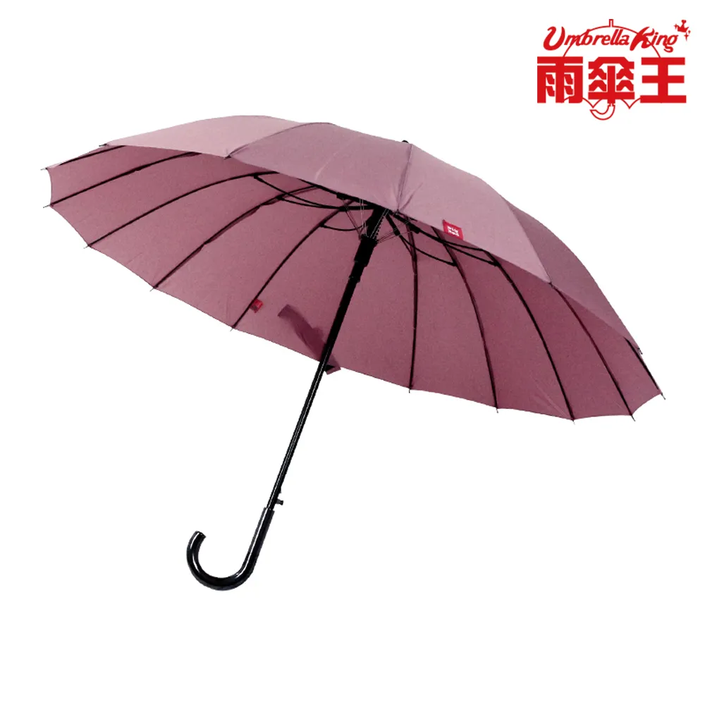 雨傘王《BigRed 自動無敵》官方旗艦店 25吋自動長傘 終身免費維修 16骨 超防風 防水 自動傘 歷史價格詳細信息