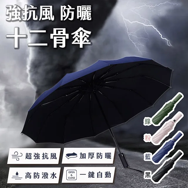 強抗風防曬十骨傘(糖果粉) 歷史價格詳細信息