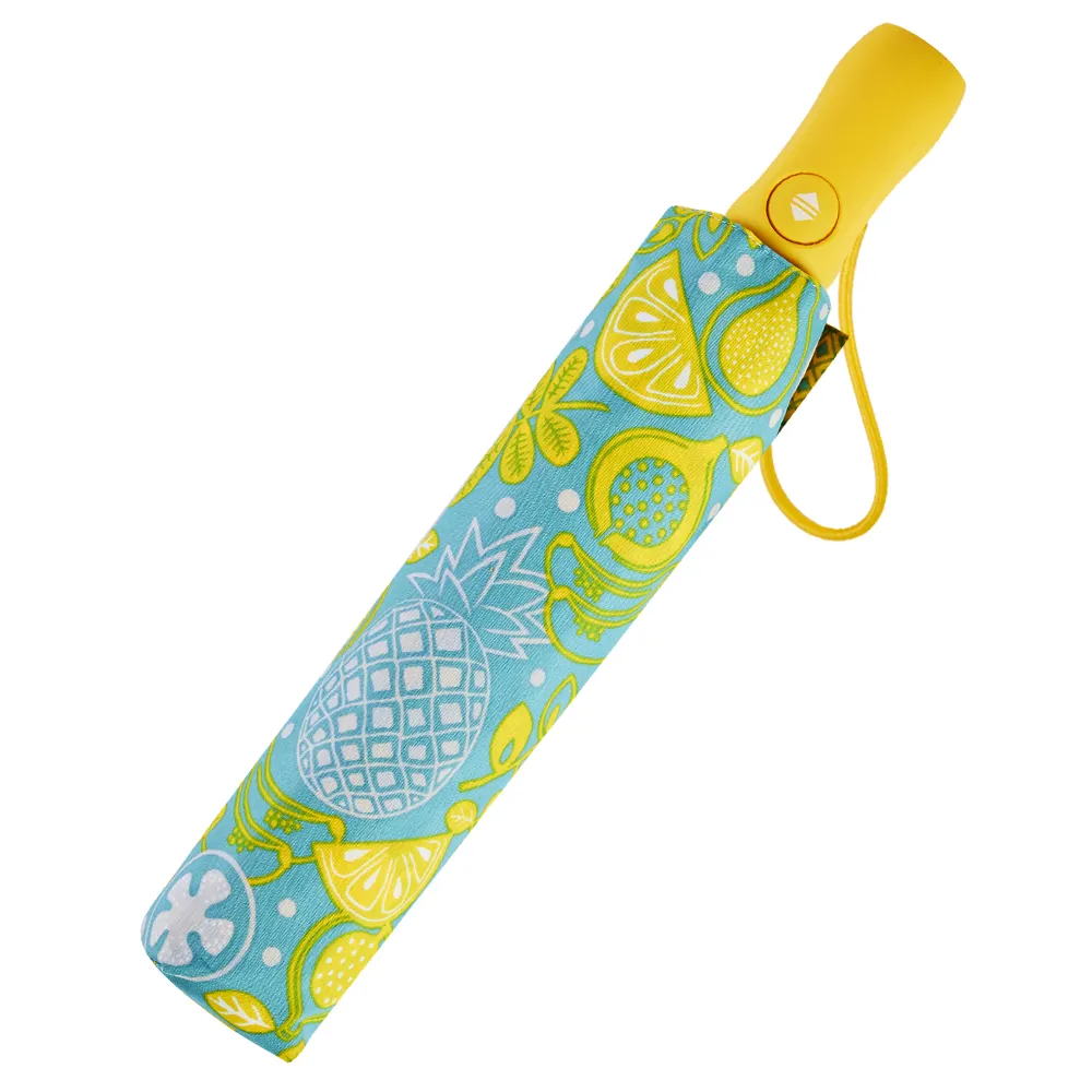 RAINSTORY雨傘-水果繽紛抗UV省力自動傘 歷史價格詳細信息