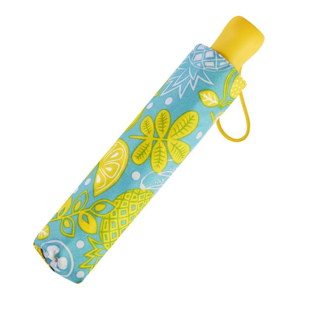 RAINSTORY雨傘-水果繽紛抗UV省力自動傘 歷史價格詳細信息