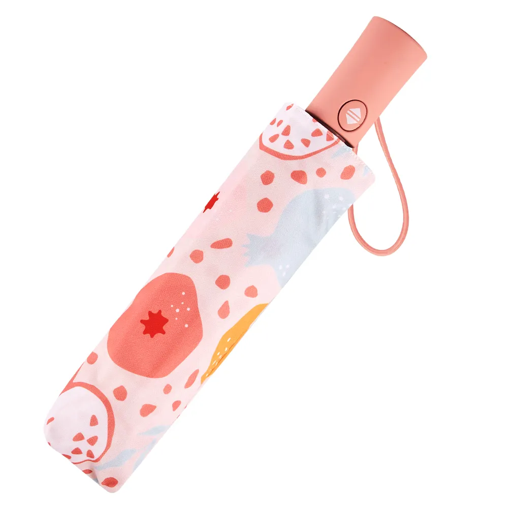 RAINSTORY雨傘-水果繽紛抗UV省力自動傘 歷史價格詳細信息