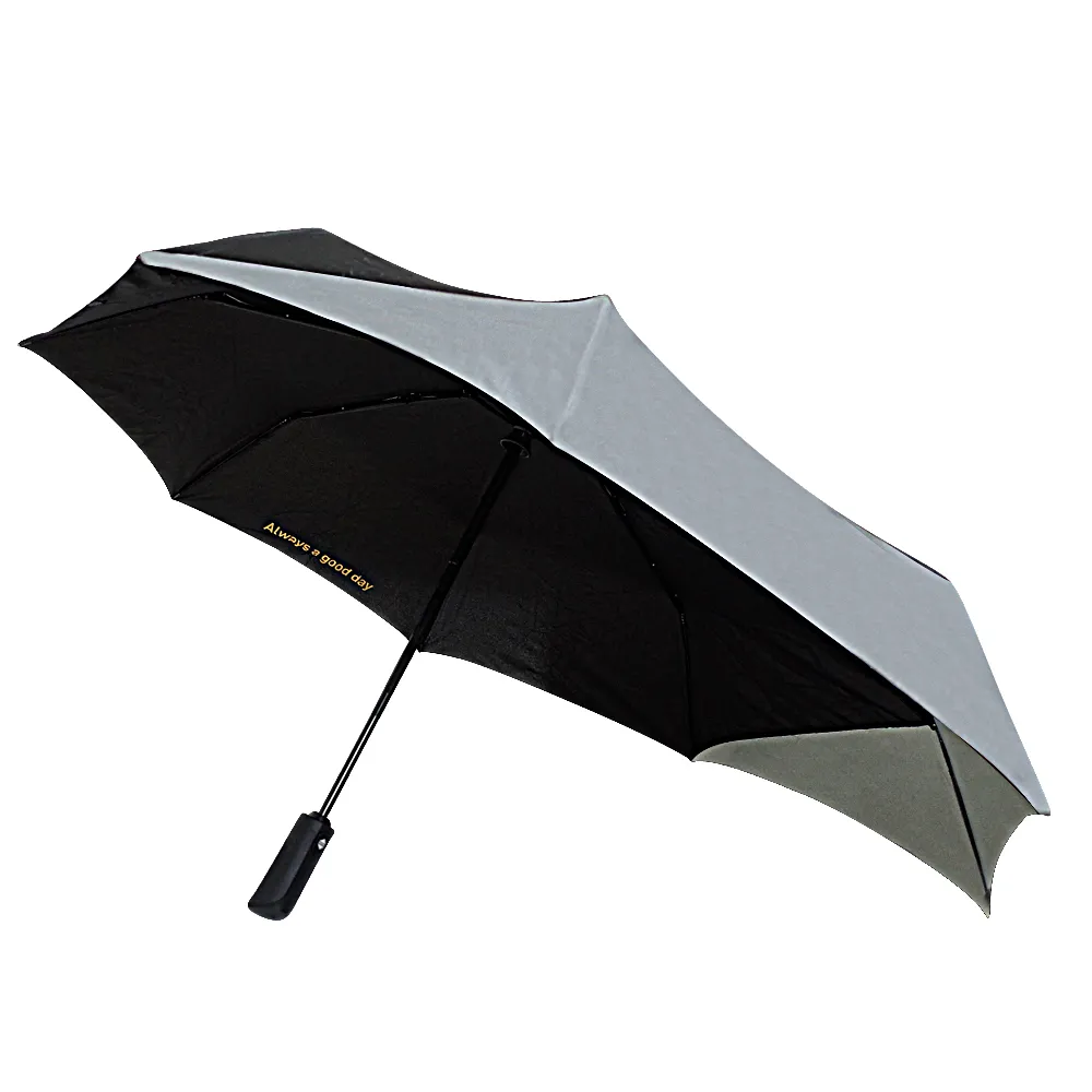 Amplify Wings 雙翼自動傘(草原之翼) 歷史價格詳細信息