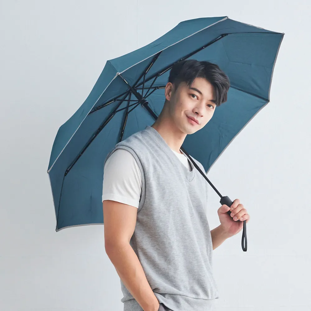 RAINSTORY雨傘-極致抗風傘 Ultra Strong(玄鐵灰) 歷史價格詳細信息