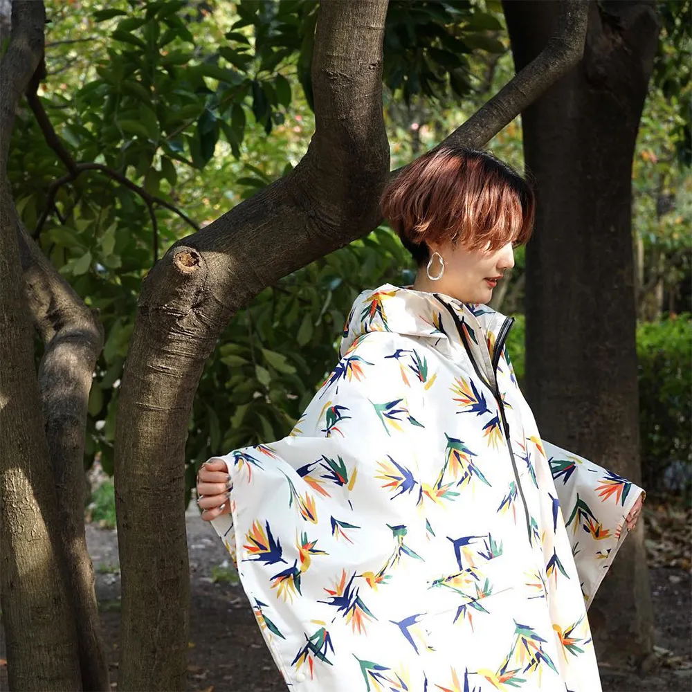 南適 花褪殘紅青杏小《上下》(穿越) 歷史價格詳細信息