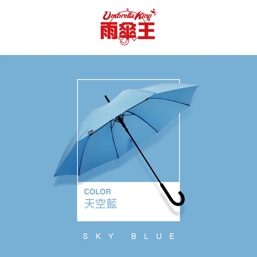 雨傘王 大紫25吋 撞色-河畔藍+迷霧淺灰 長傘 莫蘭迪色 大傘面 抗風 雨傘 超值商品 歷史價格詳細信息