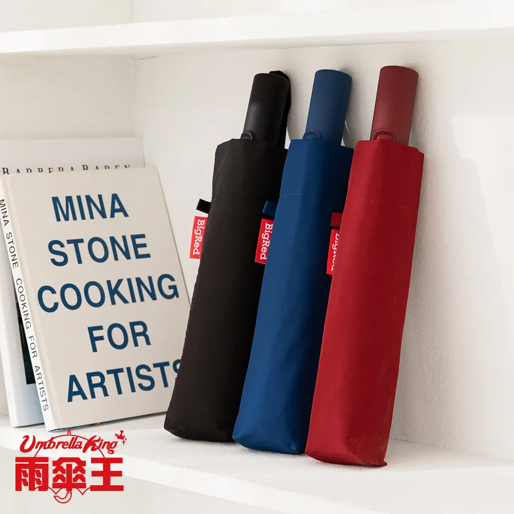 雨傘王 BigRed 輕巧無敵DARK-鐵灰 25吋 黑膠 長傘 防潑水 大傘面 雨傘 終身免費維修 歷史價格詳細信息