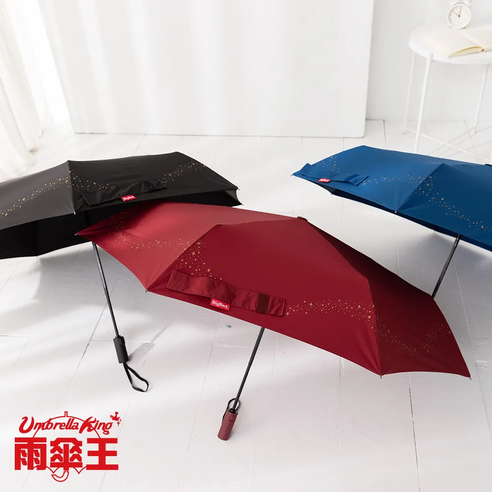 雨傘王 BigRed 輕巧無敵DARK-鐵灰 25吋 黑膠 長傘 防潑水 大傘面 雨傘 終身免費維修 歷史價格詳細信息