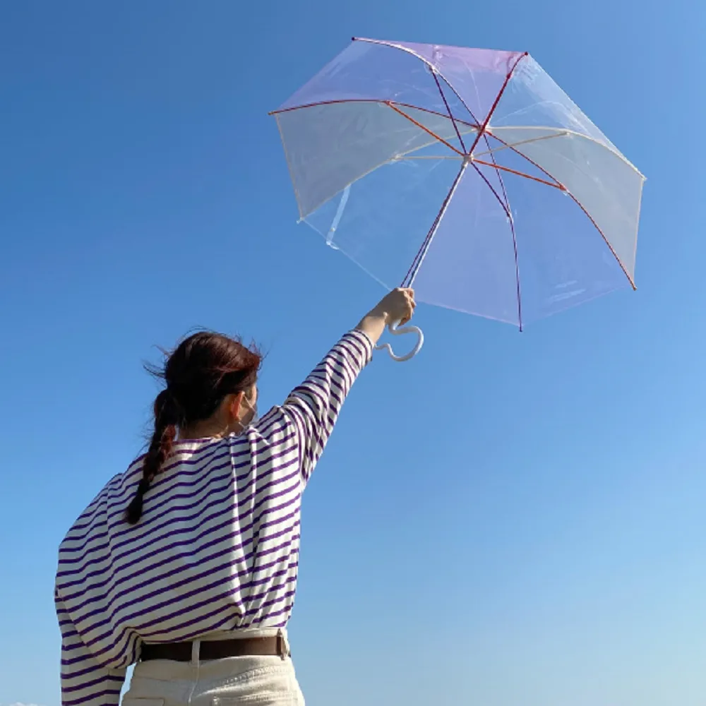 日本 Caetla Evereon 可替換式環保輕量傘-EV220 (Osaka MAP) 歷史價格詳細信息