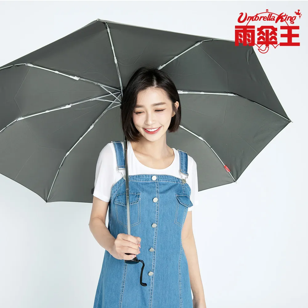 雨傘王 BigRed 將將好-灰藍 自動折疊傘 抗風 超潑水 摺疊 雨傘 終身免費維修 歷史價格詳細信息