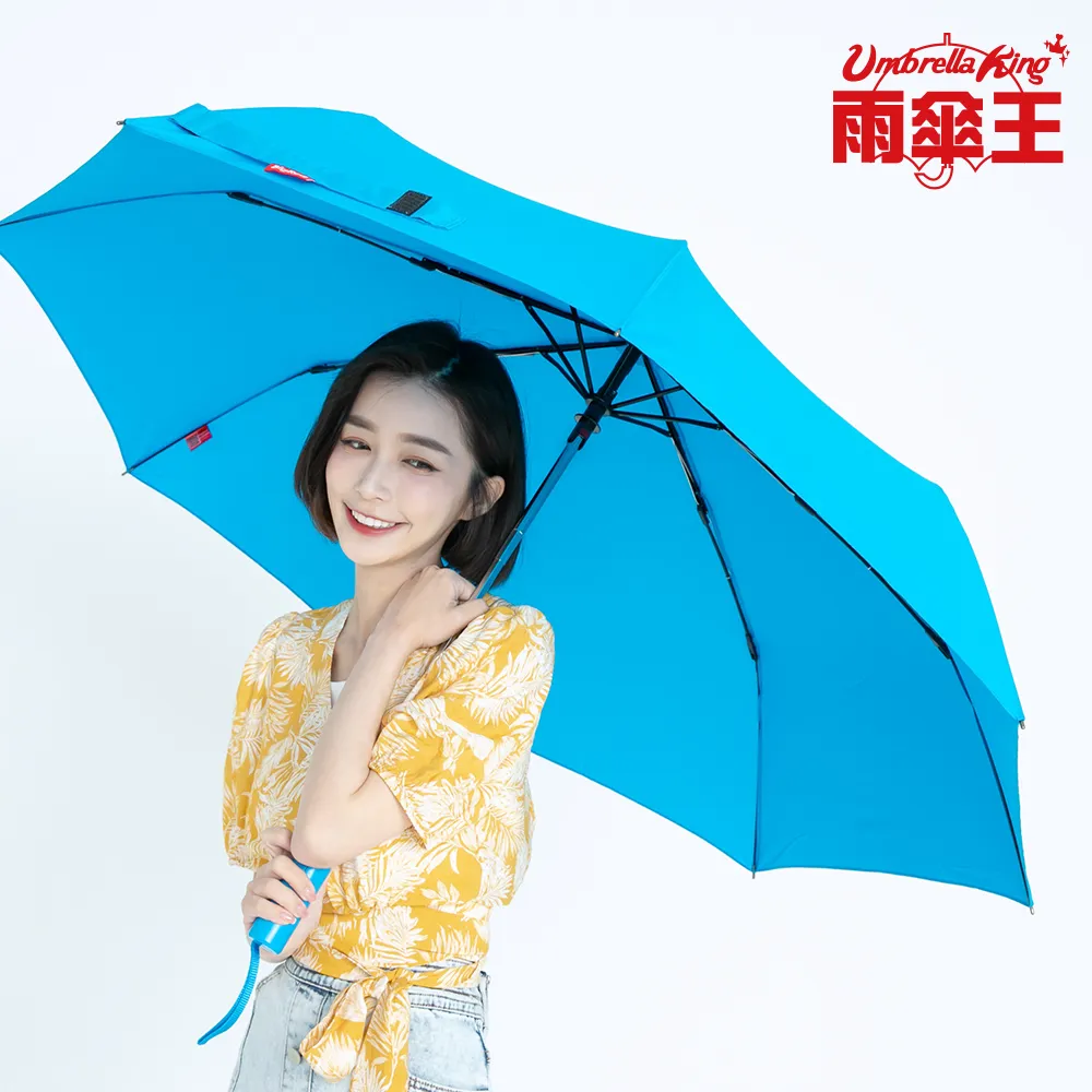 雨傘王《BigRed 安全感2.0》27吋自動傘-黃色 歷史價格詳細信息