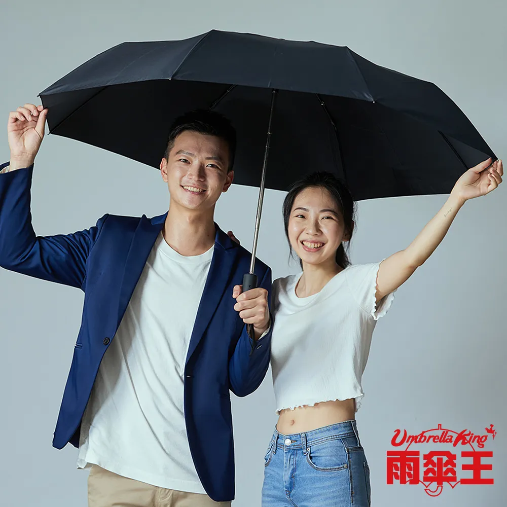 雨傘王《BigRed 安全感2.0》27吋自動傘-黃色 歷史價格詳細信息