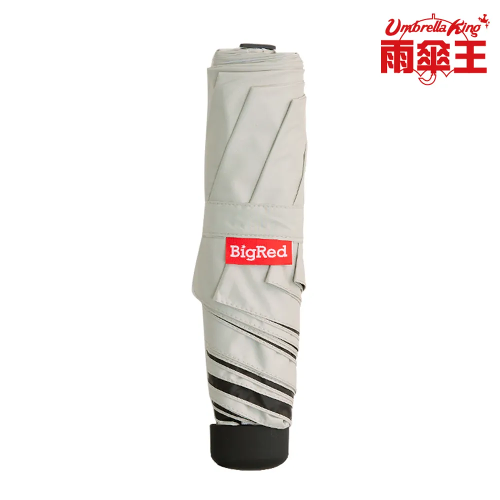 雨傘王《BigRed 太乾65》25吋自動折傘 安全自動機制 快乾 降溫 防曬 桃皮布 安全不戳人 摺疊 終身免費維修 歷史價格詳細信息