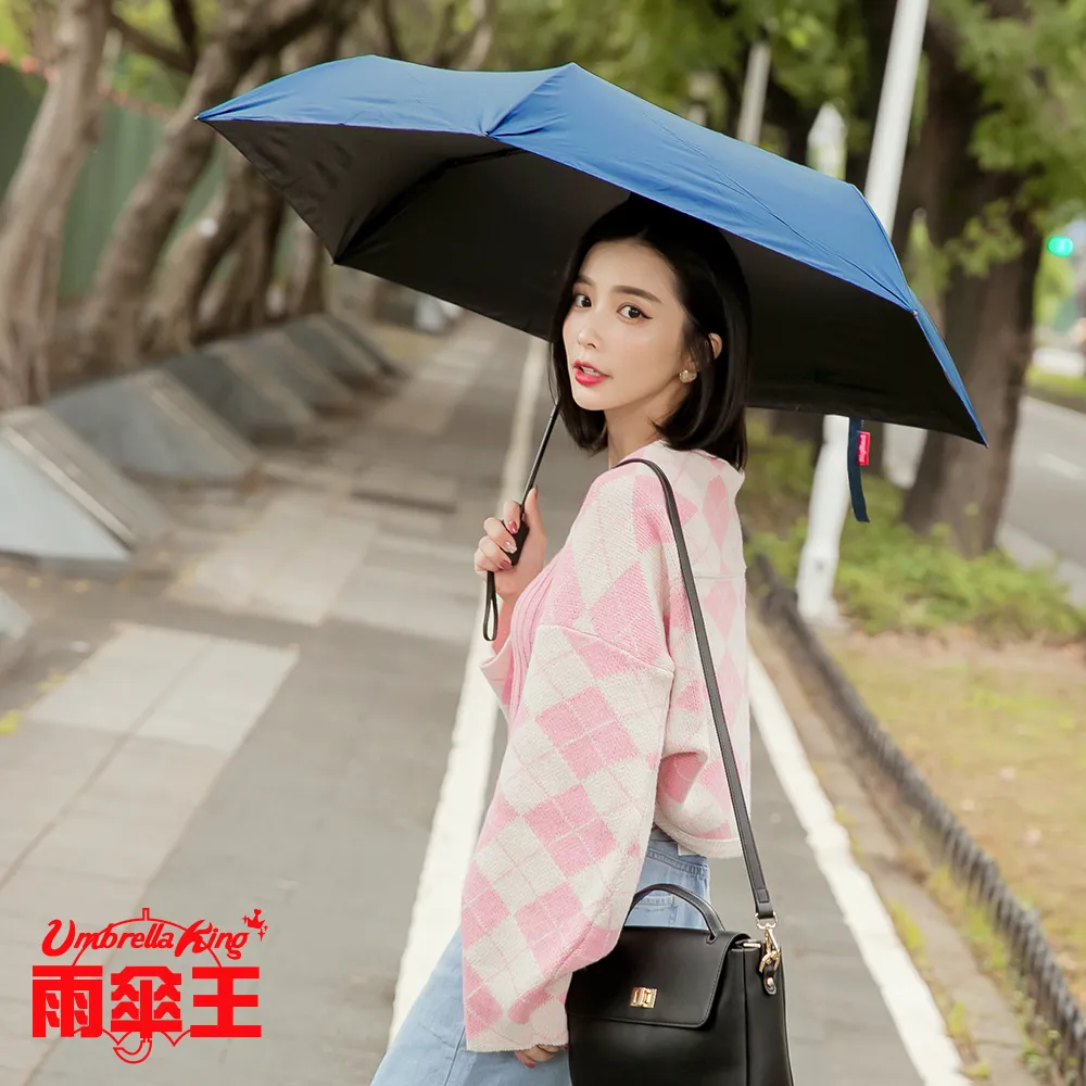 【雨傘王】BigRed 好輕鬆-銀河23吋自動傘-藍色 歷史價格詳細信息