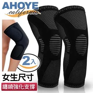【AHOYE】加長型好握玻璃刮刀(35cm) 2入組 歷史價格詳細信息