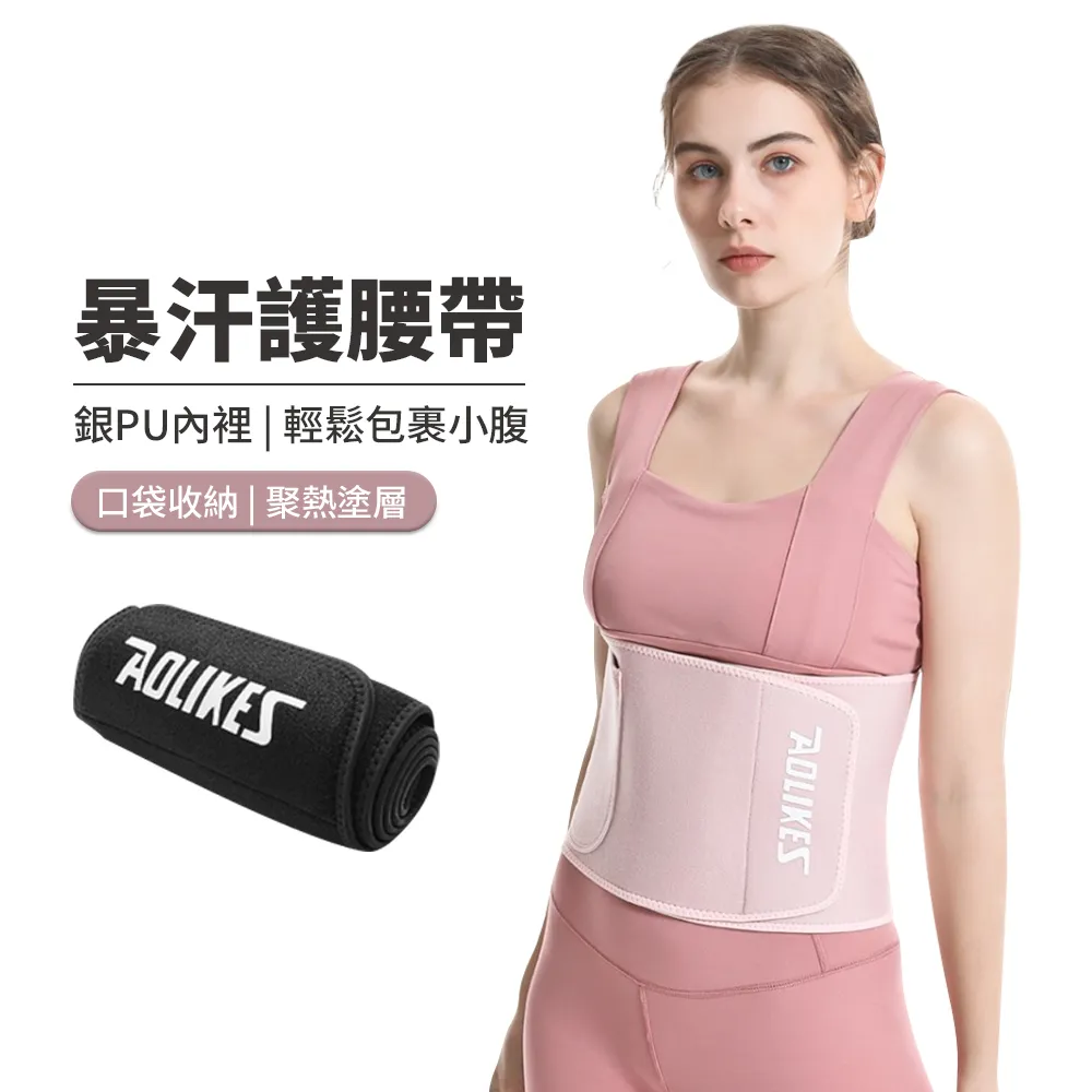 PABO 磁石按摩扭腰盤 家用靜音健身扭腰器/扭扭盤 附拉力繩 歷史價格詳細信息