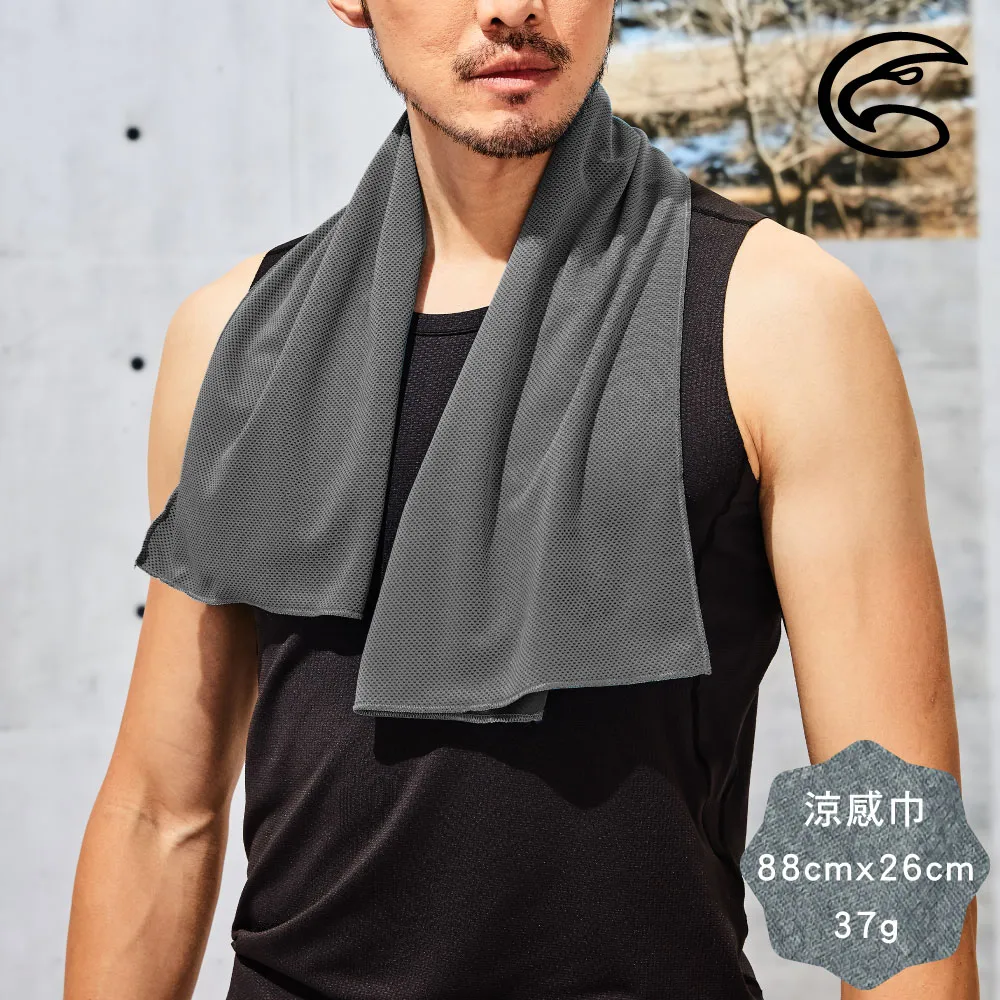 ADISI 涼感巾 AS15177 歷史價格詳細信息