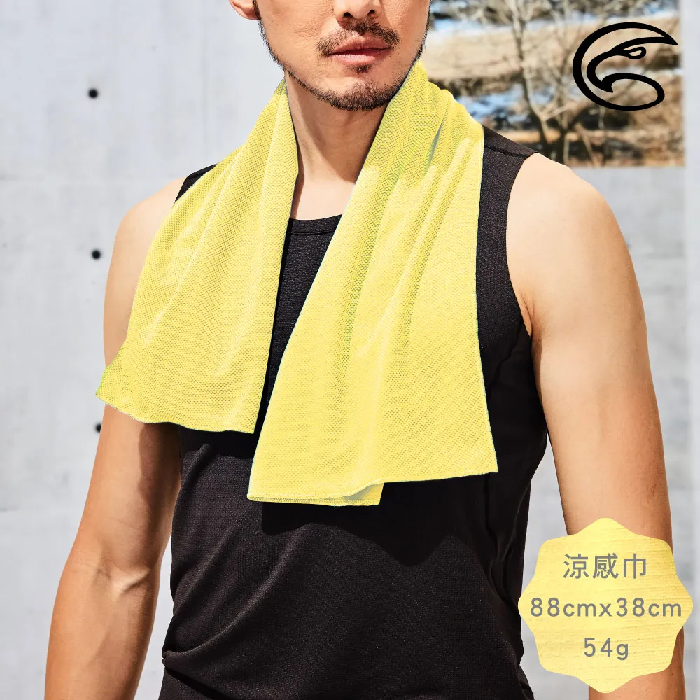 ADISI 涼感巾 AS15177 歷史價格詳細信息