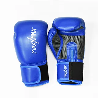 MaxxMMA 戰鬥款拳擊手套-白-散打/搏擊/MMA/格鬥/拳擊 歷史價格詳細信息