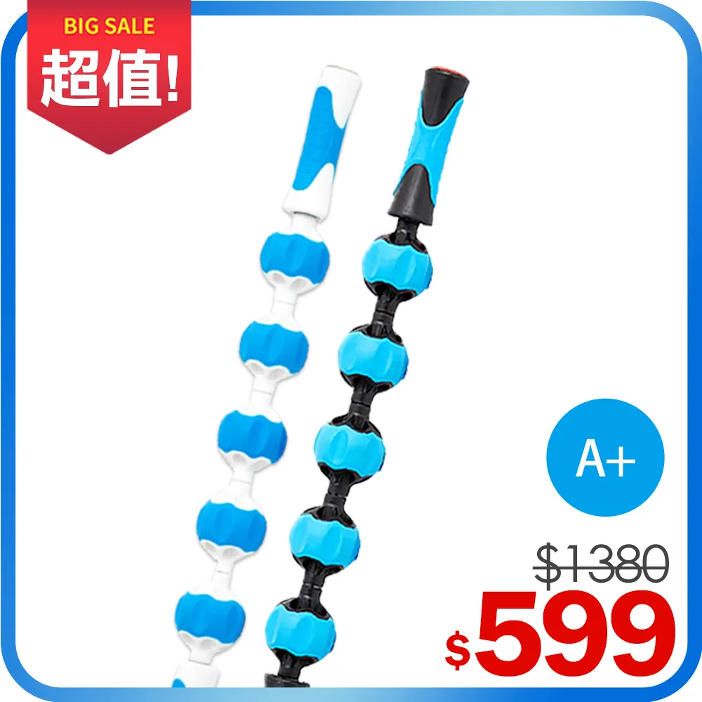 【addaday】按摩滾輪棒  Type P Pro Roller 歷史價格詳細信息