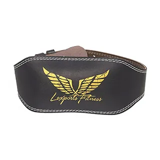 LEXPORTS專業級重磅健身高拉力帶/重訓助握帶/助力帶 歷史價格詳細信息