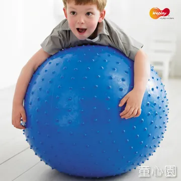 觸覺球 123捏疊樂 軟質積木 平衡石 觸覺抓握球 洗澡玩具 彩色石頭疊疊樂 觸感球 啟蒙 早教玩具 2086 歷史價格詳細信息