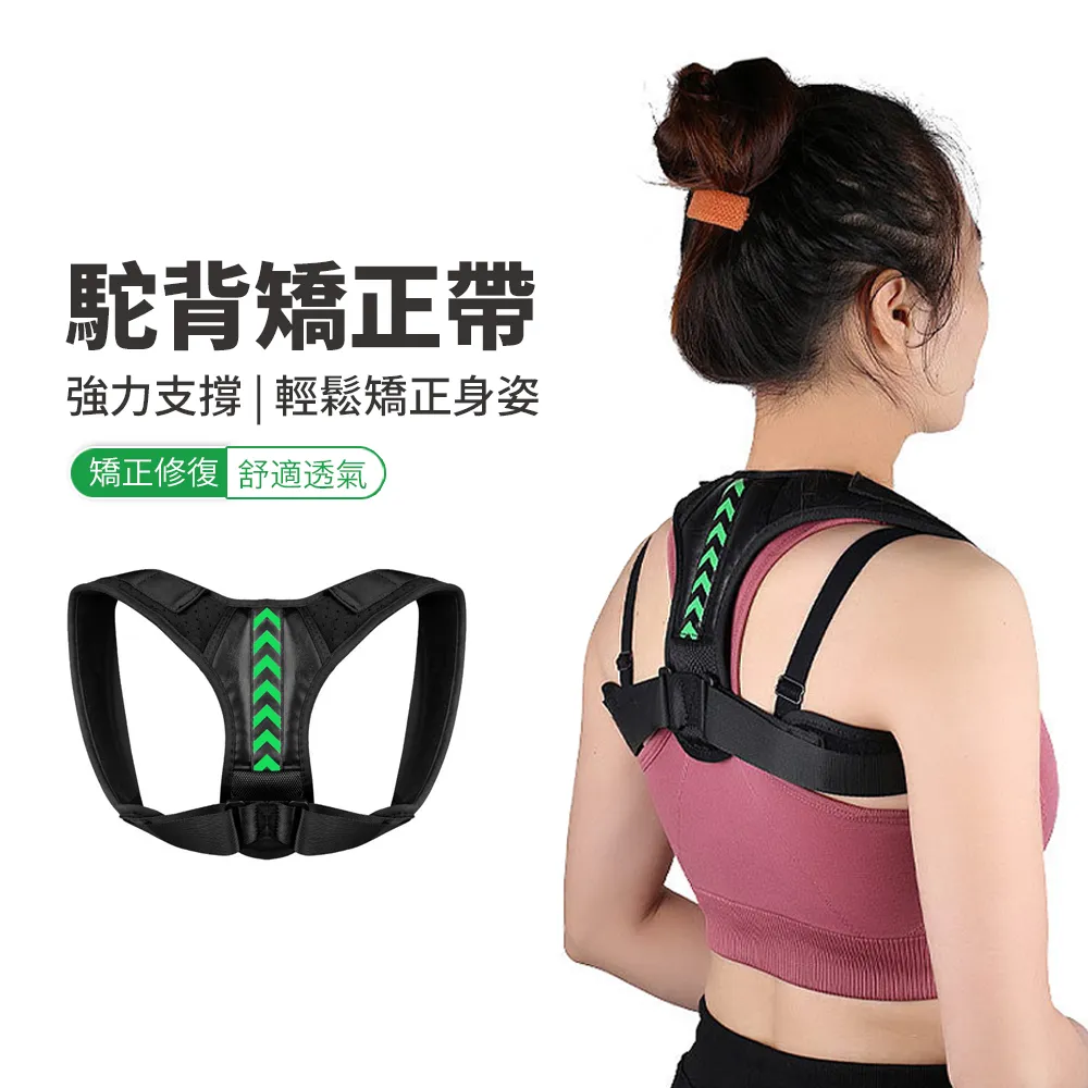 PABO 磁石按摩扭腰盤 家用靜音健身扭腰器/扭扭盤 附拉力繩 歷史價格詳細信息