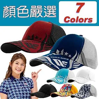 【WORLD EAGLE世界鷹】WE-101 13835女用套桿組#1+#3木+#7+#9+S+1推+專用球桿袋(6支) 右手 歷史價格詳細信息