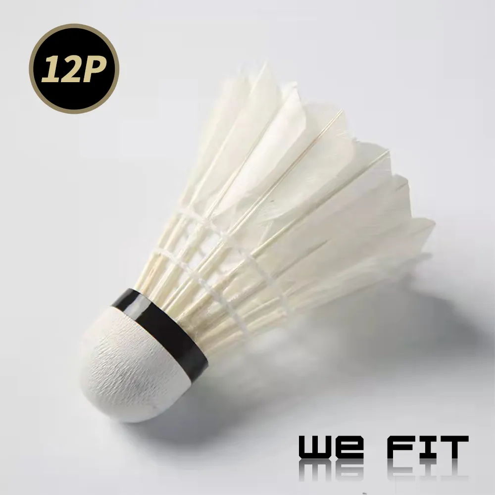 【WE FIT】鵝毛複合軟木球頭羽毛球6入(SG154) 歷史價格詳細信息