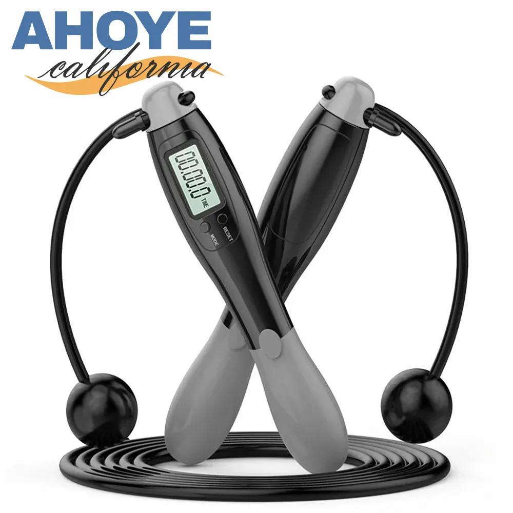 【Ahoye】電子式高精度食品溫度計 -50~+300℃ 料理溫度計 歷史價格詳細信息