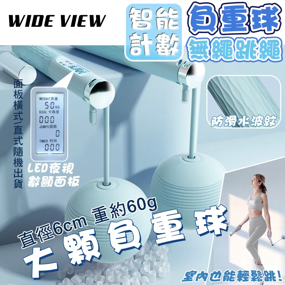 【WIDE VIEW】智能雙模式太陽能感應燈(YH501A) 歷史價格詳細信息